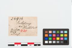 Etiketten zu Bronzebrillenfibel (NHMW-PRAE-024956)